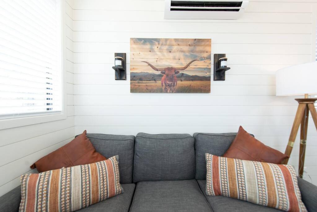 The Longhorn Stunning Container Home-in Alpine